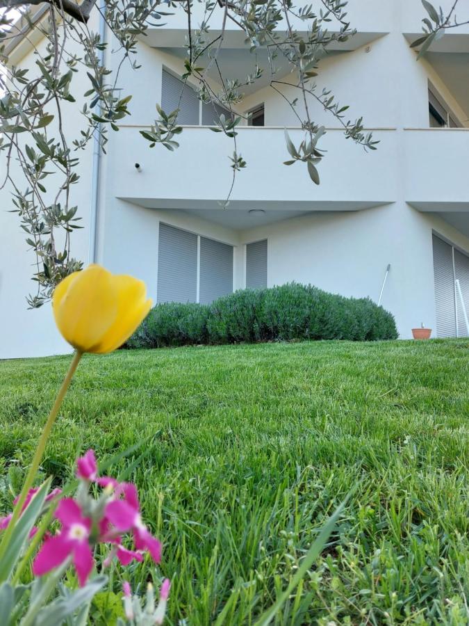 Apartment Fiorella Poreč Exteriér fotografie